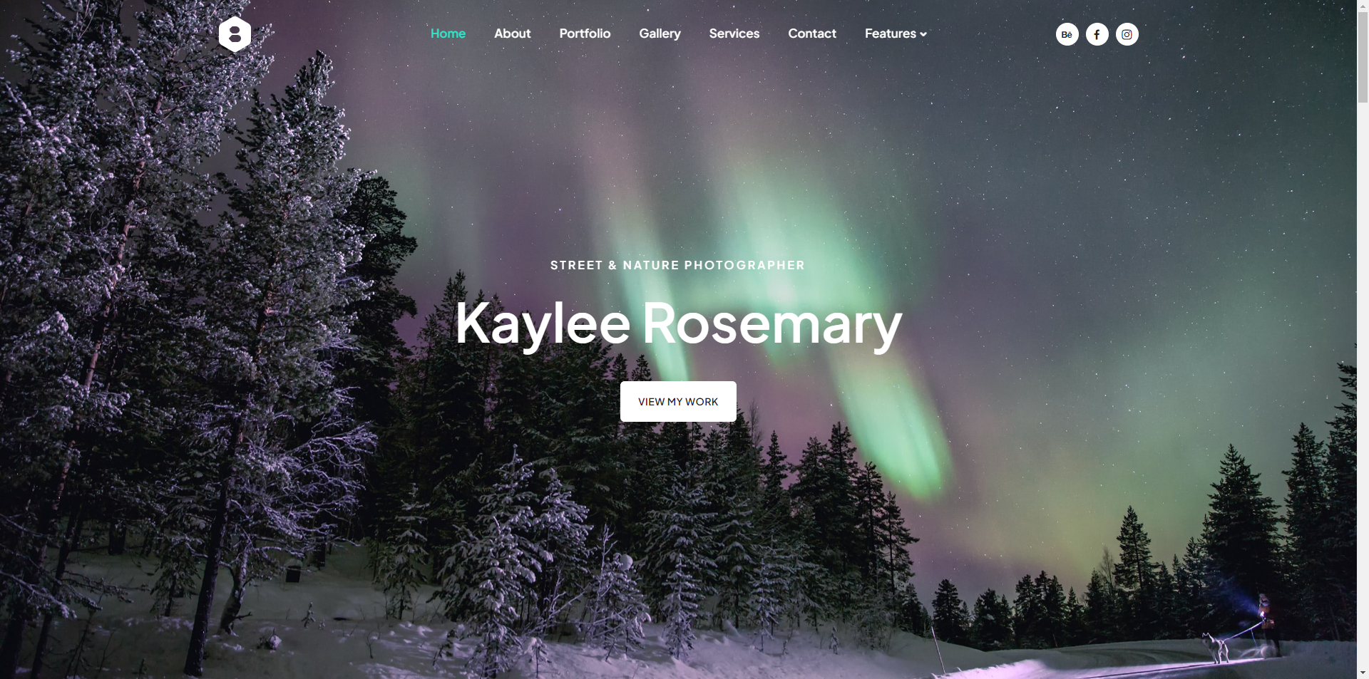 Photographer - Portfolio HTML Template
